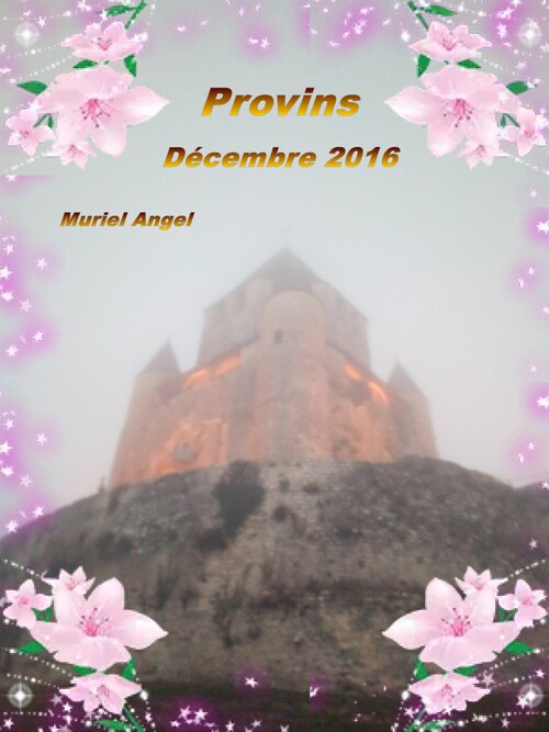 Provins 2016