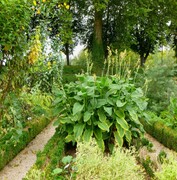 Le jardin des Plantes à Amiens