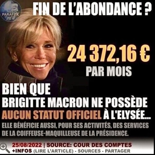 Comprendre la macronnerie art 4.