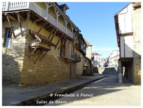 Salies de Béarn, station thermale