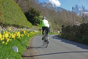 walking bicycle daffodil road 