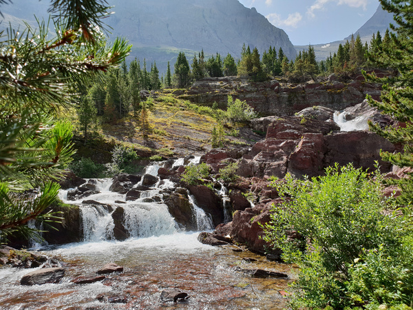 Swiftcurrent pass trail