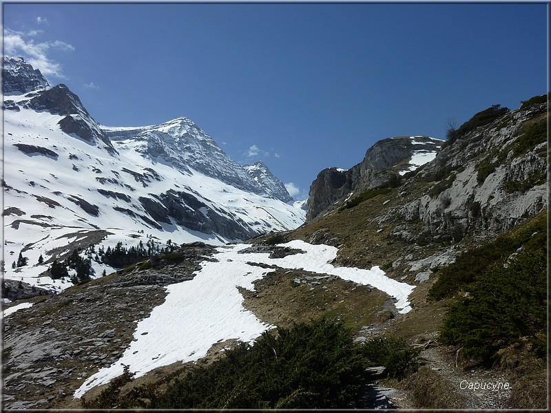 Dans les Hautes-Pyrénées : 3 - ...et l'hiver est devenu printemps