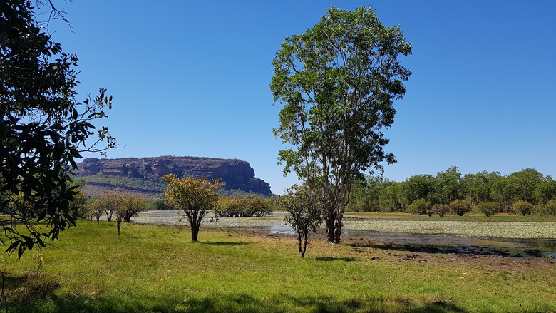 8 Juillet 2019 – Anbanbang Billabong walk