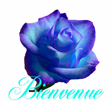 bienvenue rose bleu et violette, rose