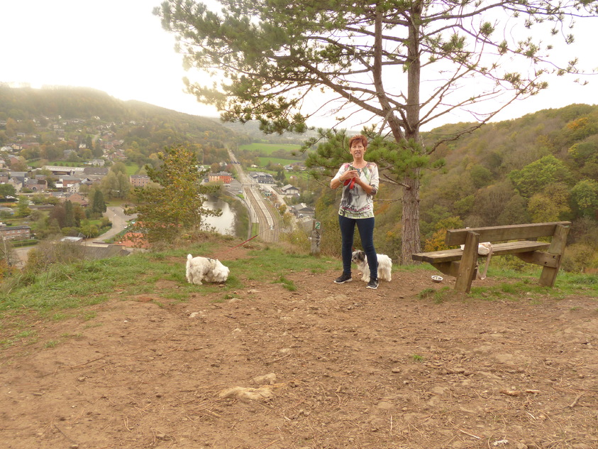 Là-haut avec Camille, Noé et les chiens