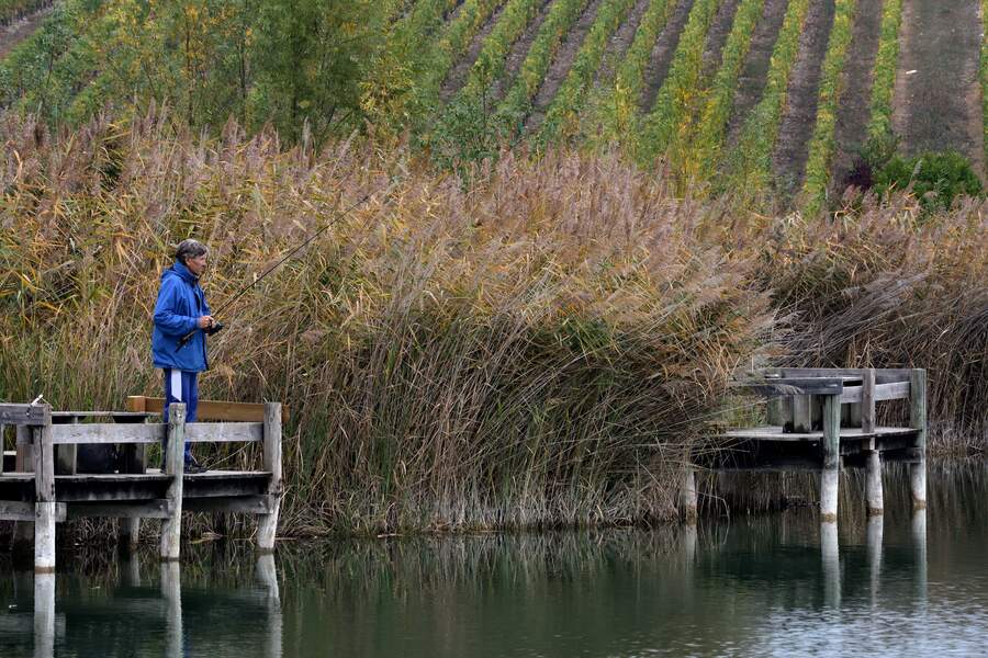 Un début d'automne