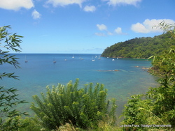 Tobago- Charlotteville