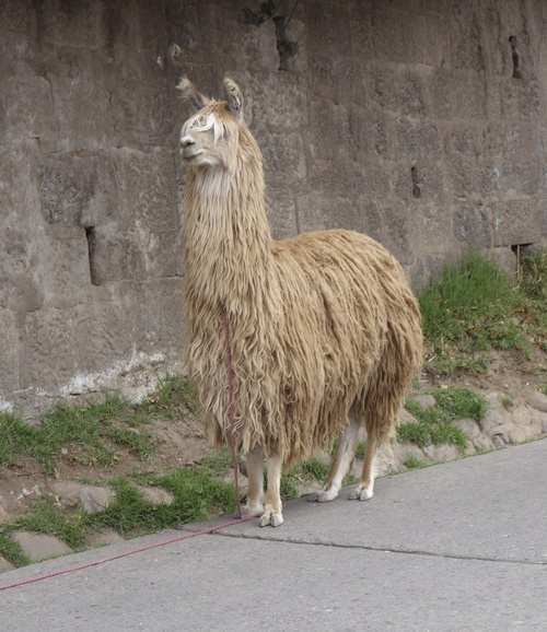 16 au 19 septembre - Lima et Cuzco