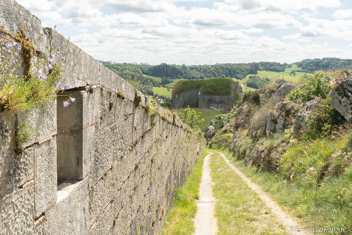 Salins les Bains et ses deux forts (Belin)