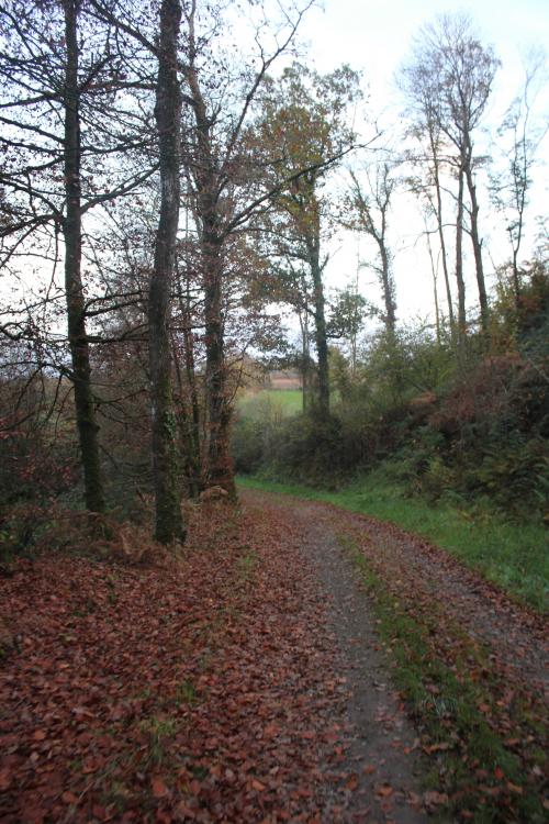 la manche