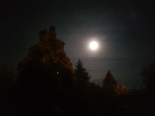 Pleine lune et gelées