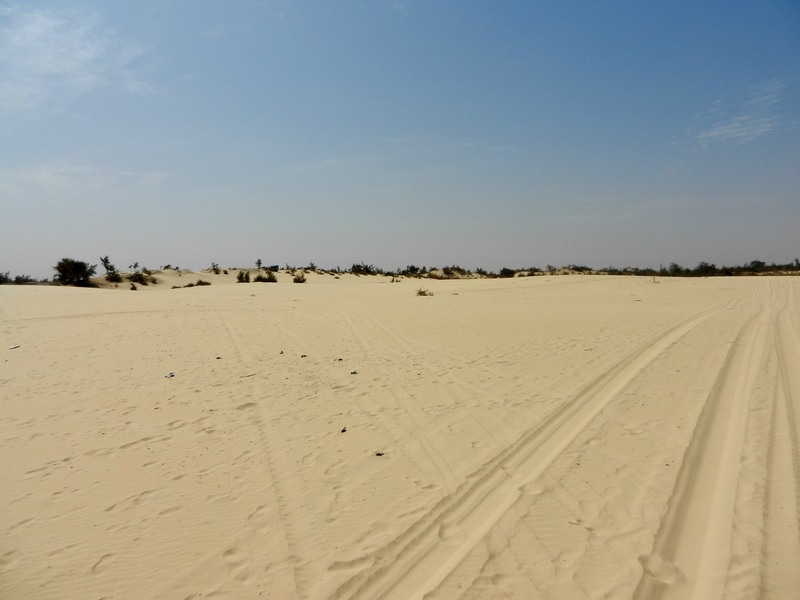  Sénégal les dunes du lac rose