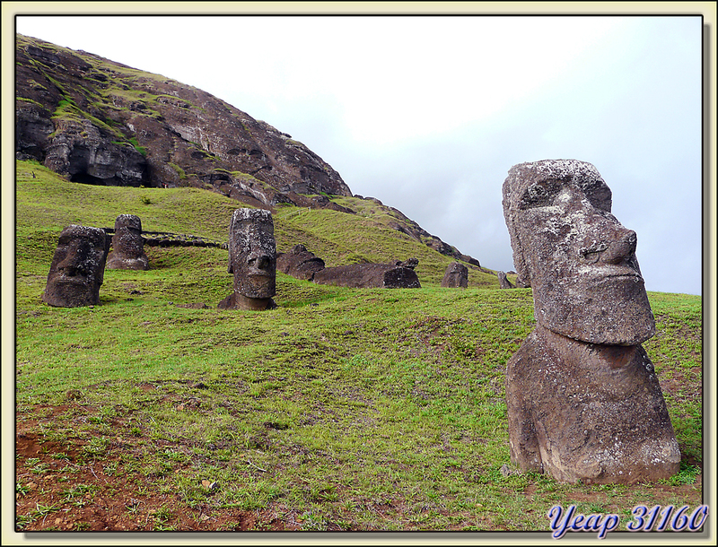 Géants figés, partiellement enterrés - Volcan Rano Raraku - Rapa Nui (île de Pâques) - Chili