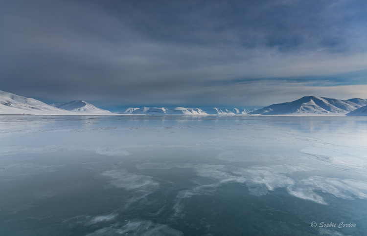 Van Mijenfjorden