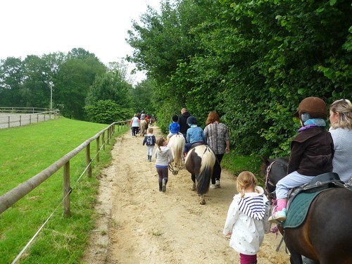 Promenade à poney