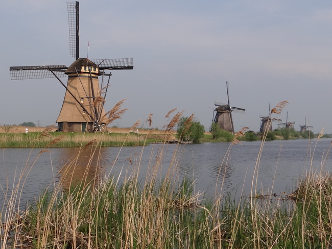 Kinderdijk - Hollande