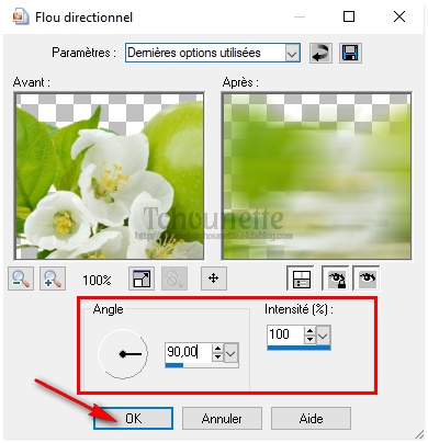 Automne - Green Apple