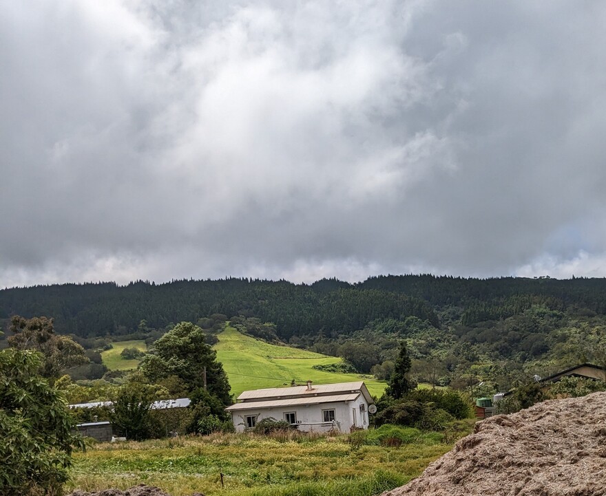 5/2/24 : PITON SEC LES HAUTS (route Volcan) 1/4 - Chanteur