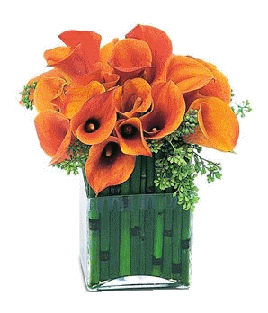 Tubes fleurs en vase/Virágok vázában png