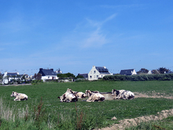 Bretagne mai 2014 (12) - Ile de Groix (2)