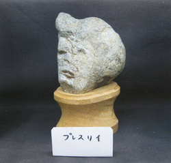 Musée japonais de pierres qui ressemblent à des visages