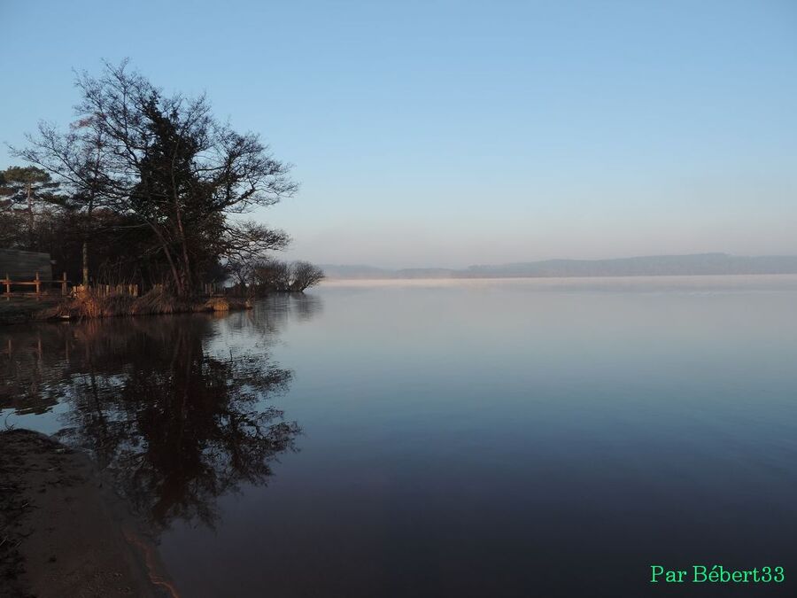 le lac Léon dans les Landes (40)