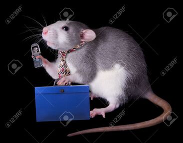 RÃ©sultat de recherche d'images pour "gif souris qui court"