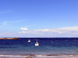 Bretagne mai 2014 (20) - Ile de Sein (4)