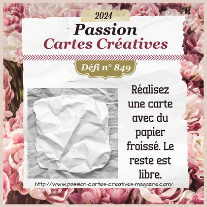 Passion Cartes Créatives#849