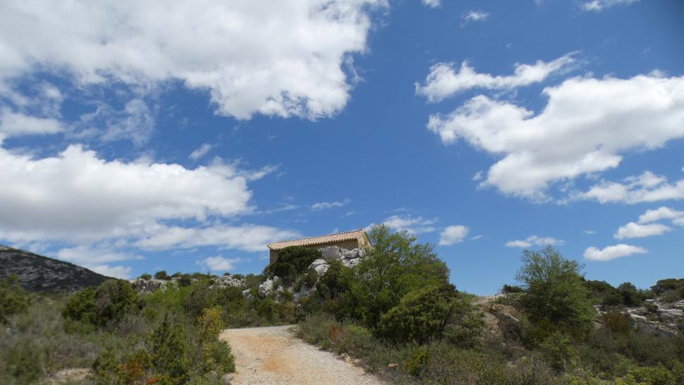 Peut être une image de montagne