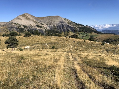 Clôt de Bouc (Selonnet)