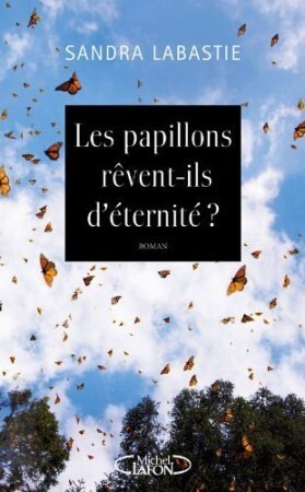 Les-papillons-revent-ils-d-eternite.jpg