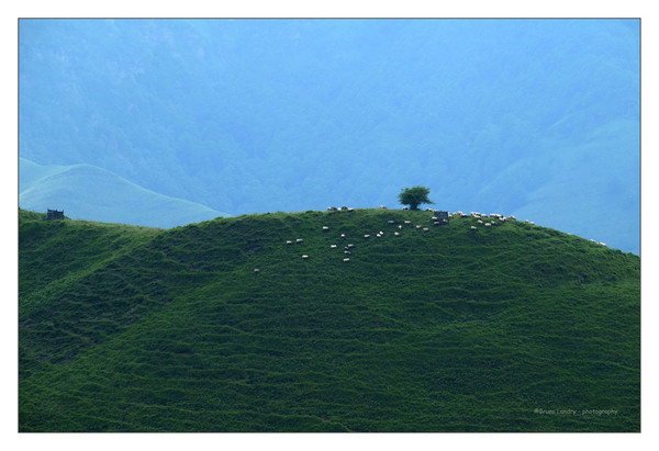 Paysage sur la route des cols.