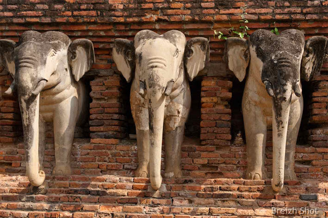 Wat Sorasak Sukhothaï - Trio d'éléphants Wat Sorasak Sukhothaï - Trio d'éléphants