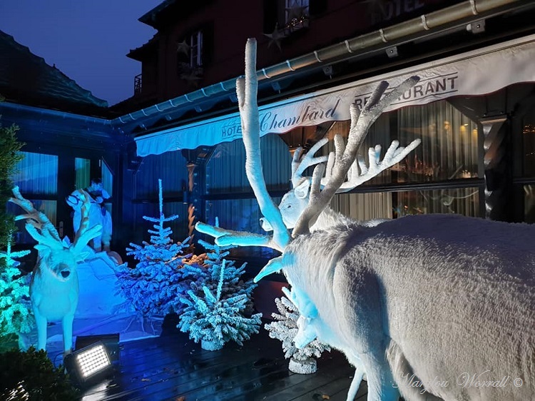 Noël en Alsace : Kaysersberg