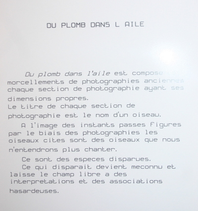 Blog de dyane : Traces de Vie, Régine Caudwell, sculptrice, Bosyni alias Syl-via Boulnois, peintre, Paule Lanternier, photographe,