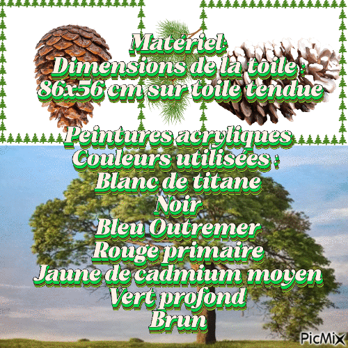 Dessin et peinture - vidéo 4133 : Comment peindre un pin majestueux ? - acrylique et huile.