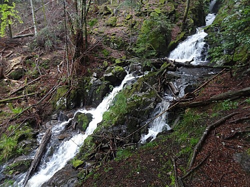 saut de la truite DSC02124