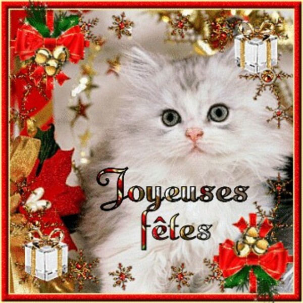 Joyeuses fêtes