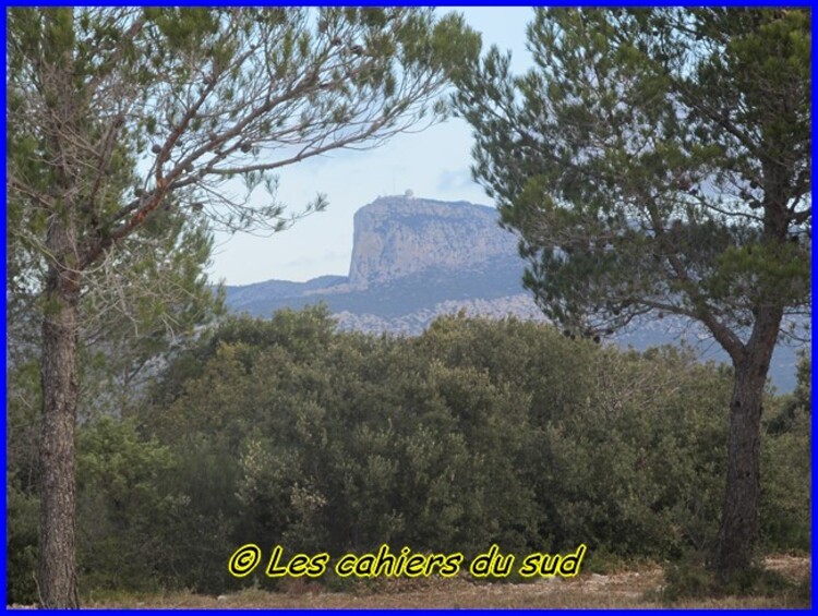 Le four a cade de Revers de Boquié