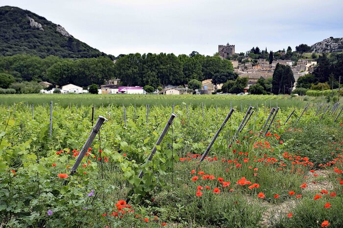 Arrivée à St Bonnet-du-Gard