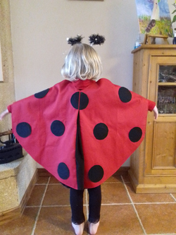 Coccinelle