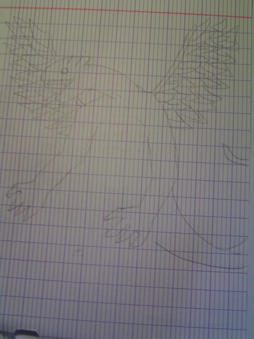 Beaucoup, BEAUCOUP de petits dessins randoms :ok: