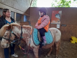 maternelle : activité Poney - séance 1