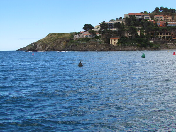 Collioure (1).