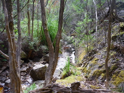 Rocky Cape National Park