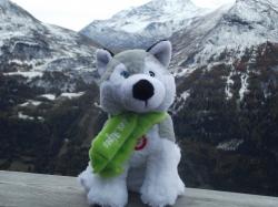 mascotte en montagne