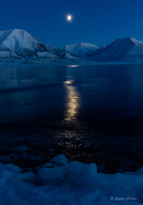 la vie en bleue