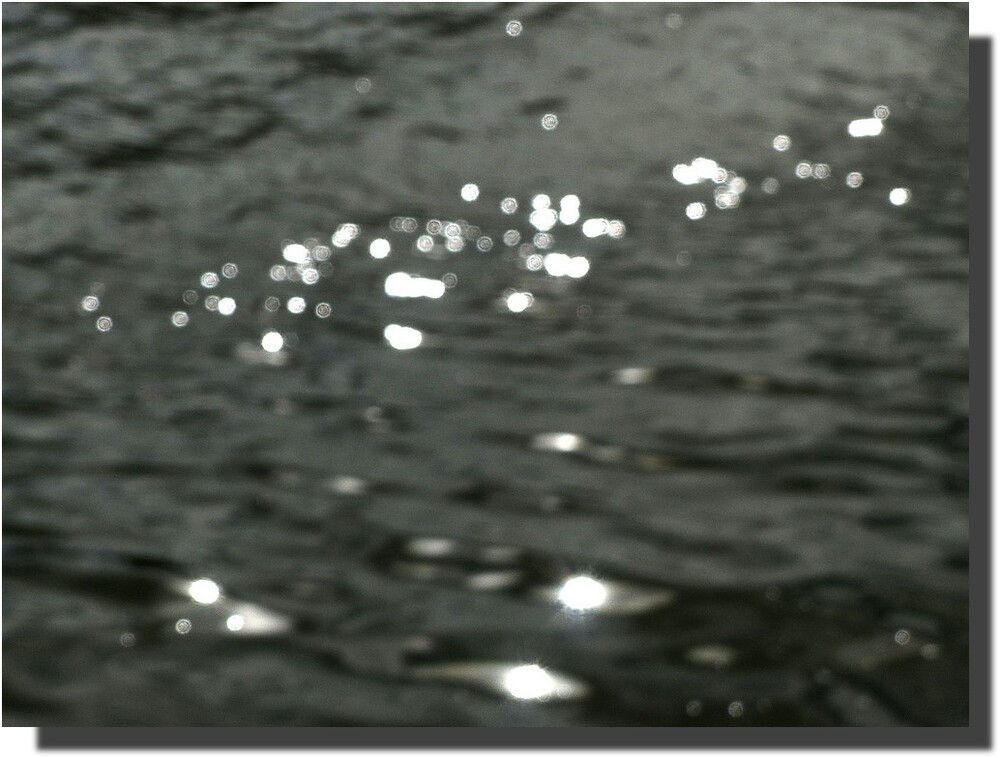 Comment les grains de lumière ensemencent la mer pour faire naître les étoiles d'eau